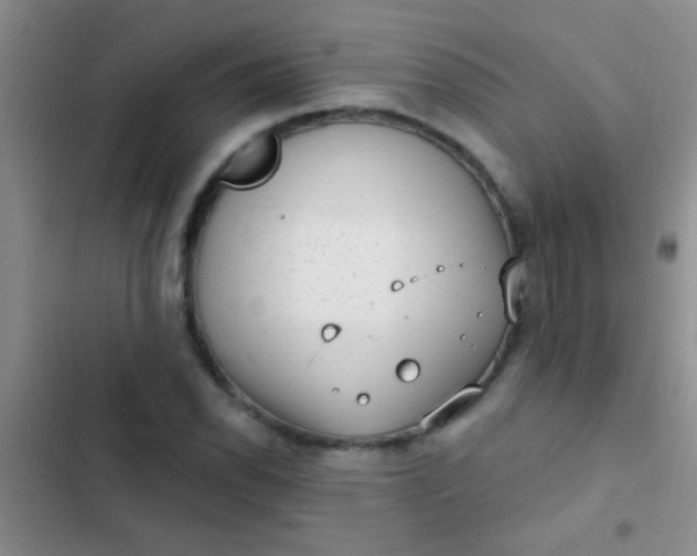 X0000102531118200808221859