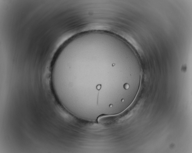 X0000102531119200808221859