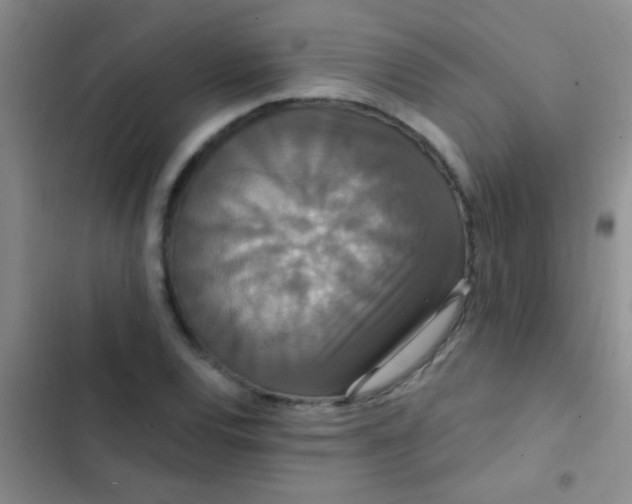 X0000102531120200808221859