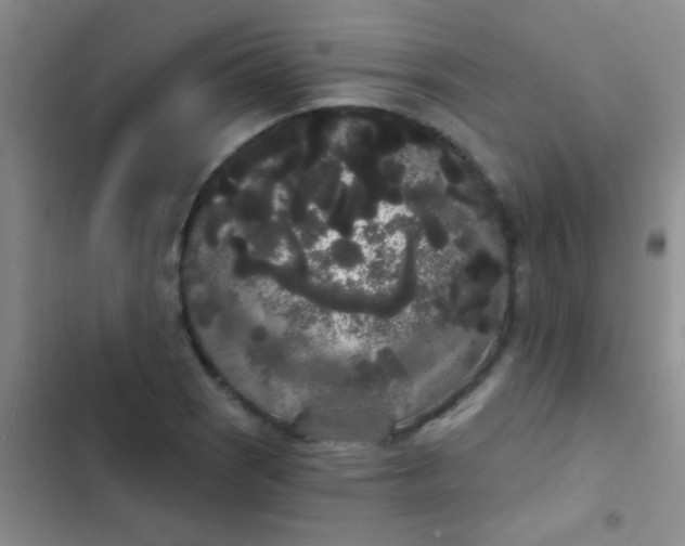 X0000102531121200808221859