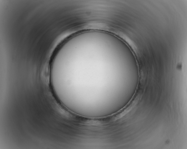 X0000102531123200808221859