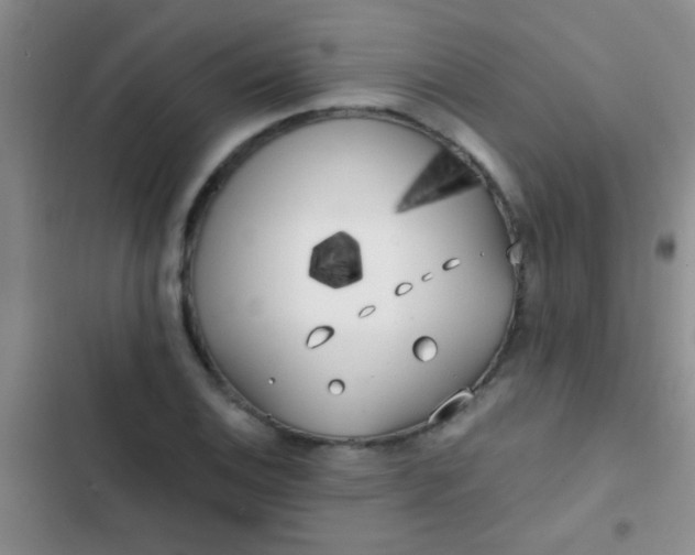 X0000102531124200808221859