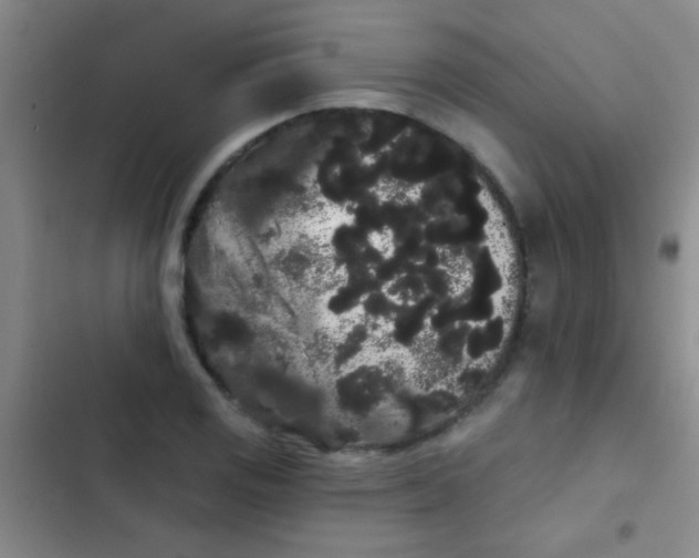 X0000102531125200808221859