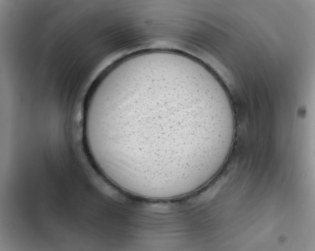 X0000102531126200808221859