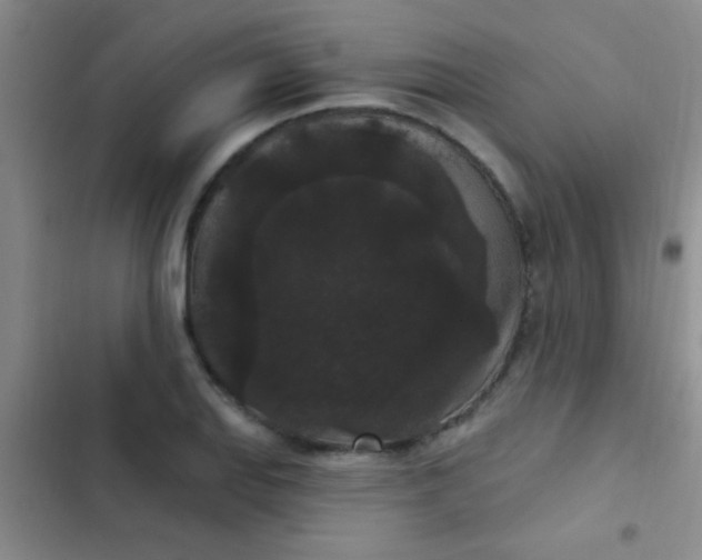 X0000102531127200808221859