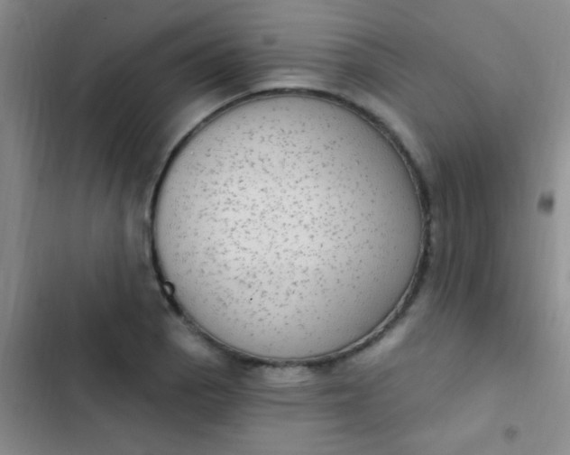 X0000102531129200808221859