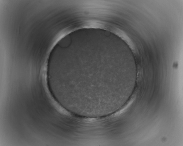 X0000102531130200808221859