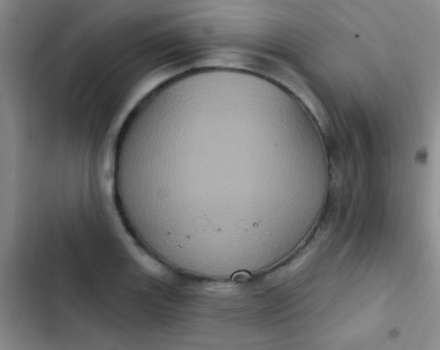 X0000102531131200808221859