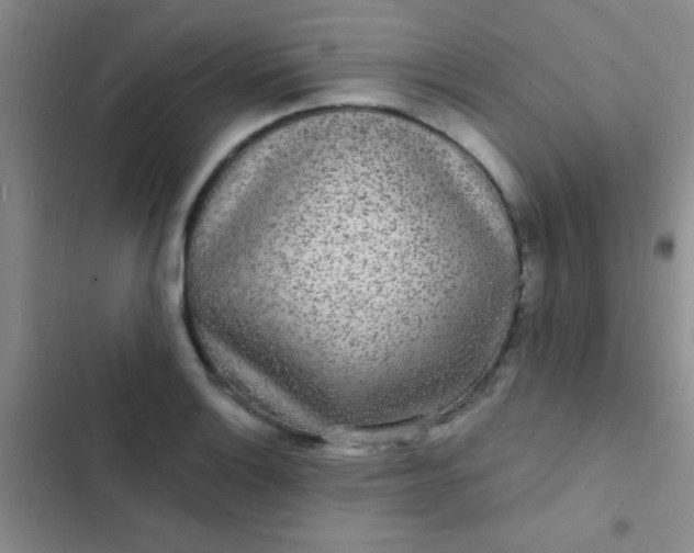 X0000102531132200808221859