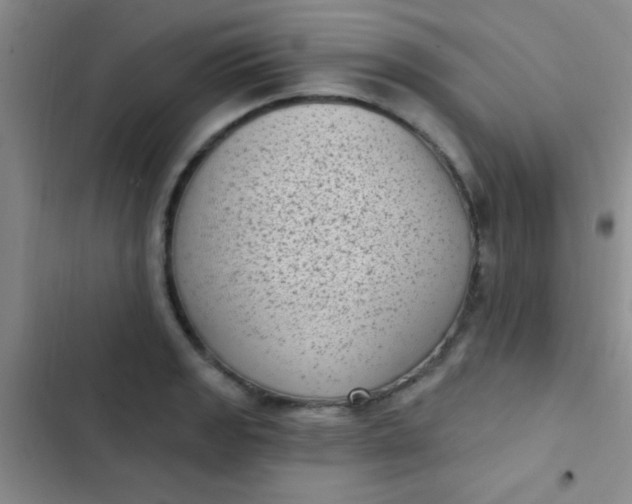 X0000102531133200808221859