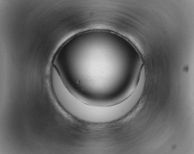 X0000102531134200808221859