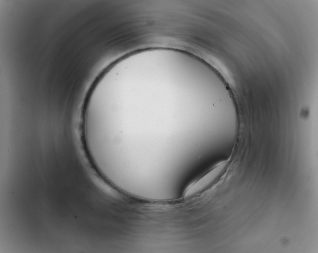 X0000102531136200808221859