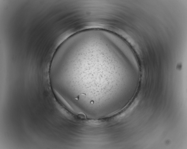 X0000102531137200808221859