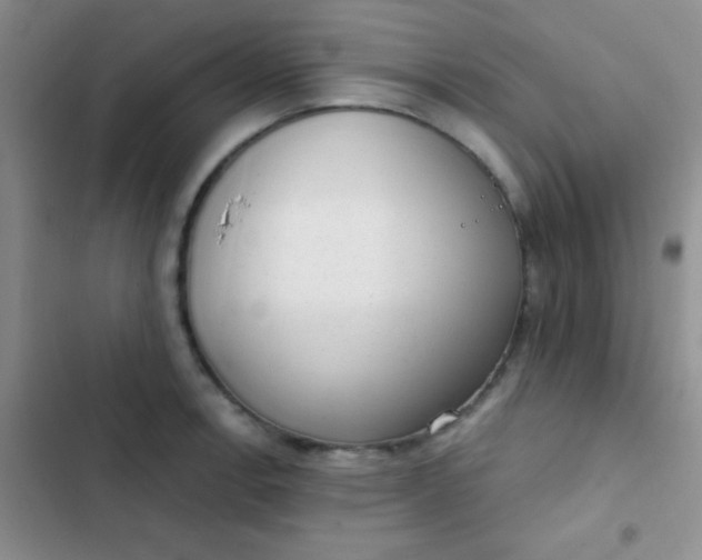 X0000102531138200808221859