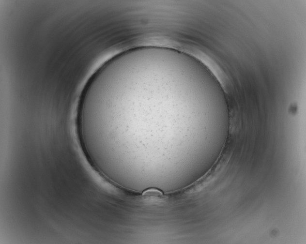 X0000102531139200808221859