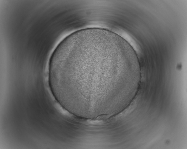 X0000102531140200808221859