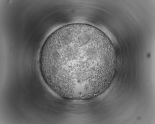 X0000102531142200808221859