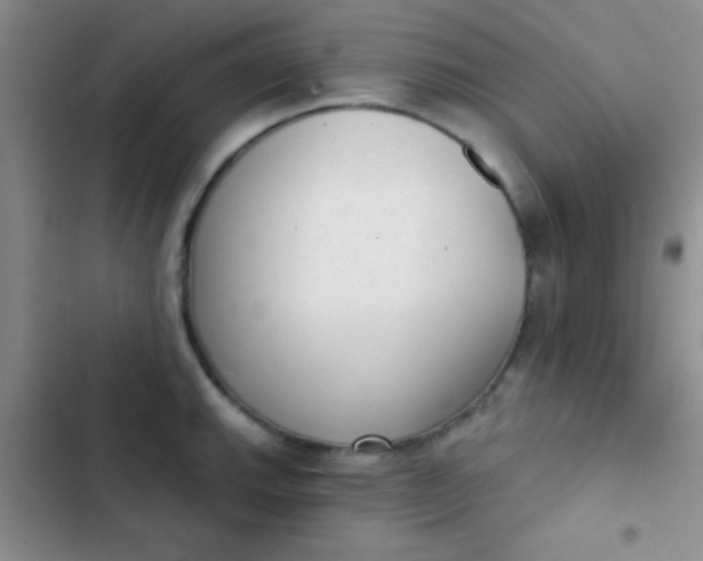 X0000102531143200808221859