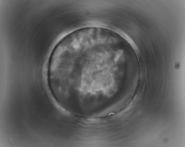 X0000102531144200808221859