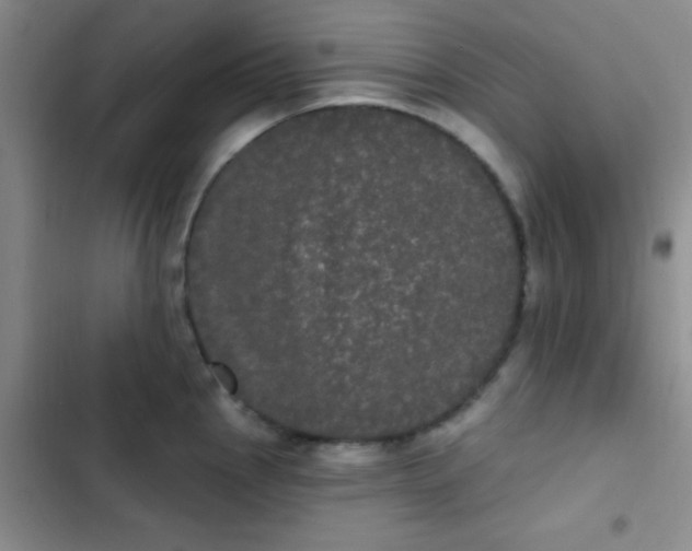 X0000102531145200808221859