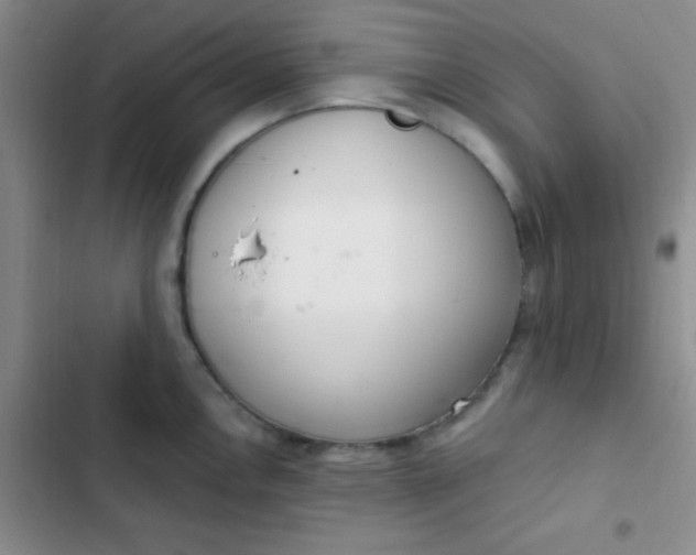 X0000102531146200808221859