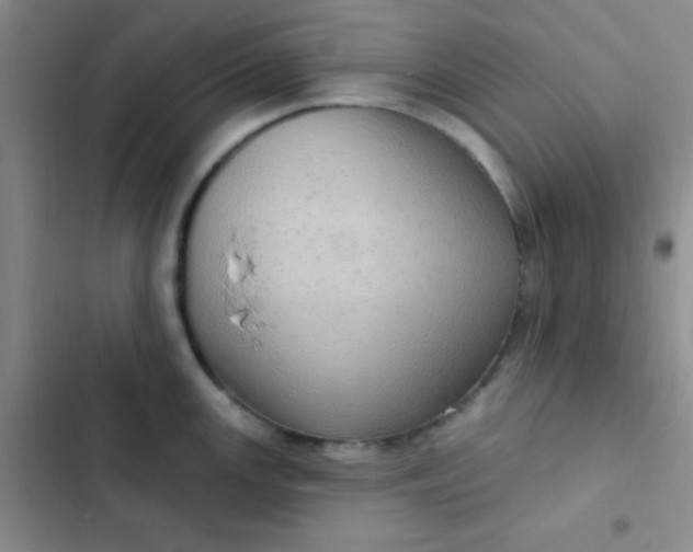 X0000102531147200808221859