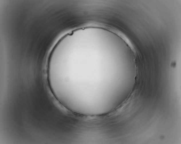 X0000102531148200808221859