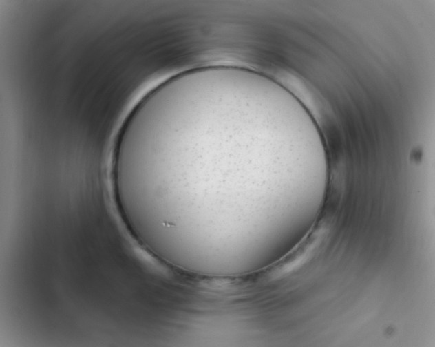 X0000102531149200808221859