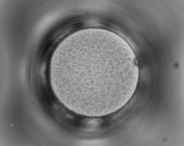 X0000102531150200808221859