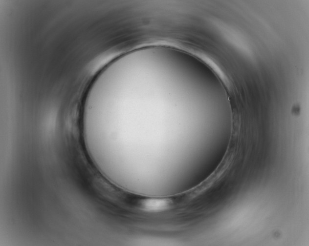 X0000102531151200808221859