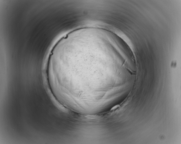 X0000102531152200808221859