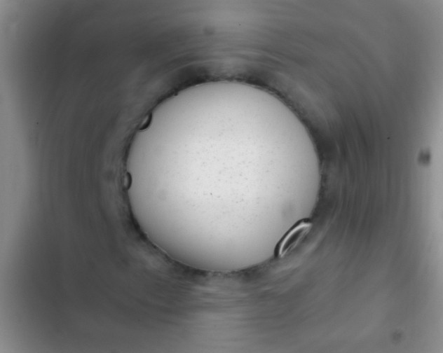 X0000102531153200808221858