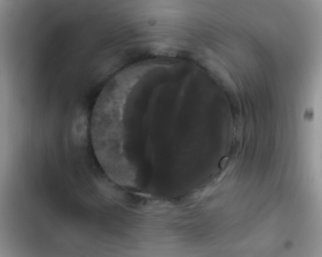 X0000102531154200808221858