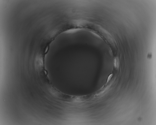 X0000102531155200808221858