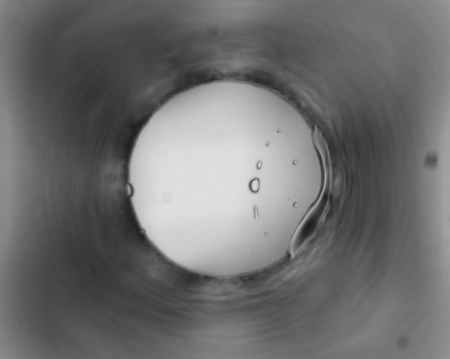 X0000102531156200808221858