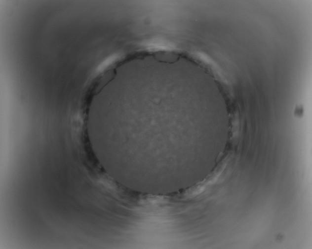 X0000102531157200808221858