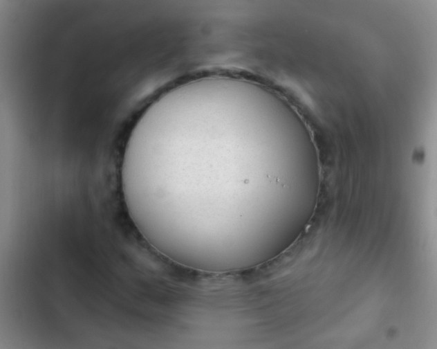 X0000102531159200808221858