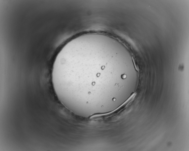 X0000102531160200808221858