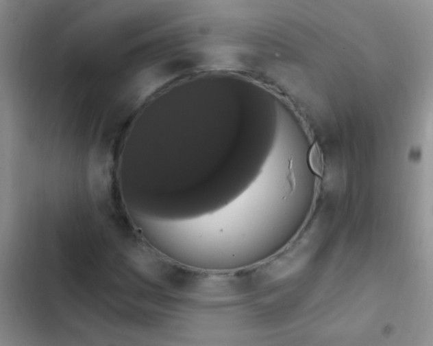 X0000102531161200808221858