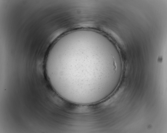 X0000102531162200808221858