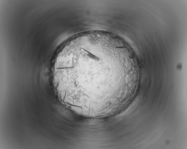 X0000102531163200808221858