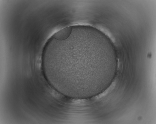 X0000102531165200808221858