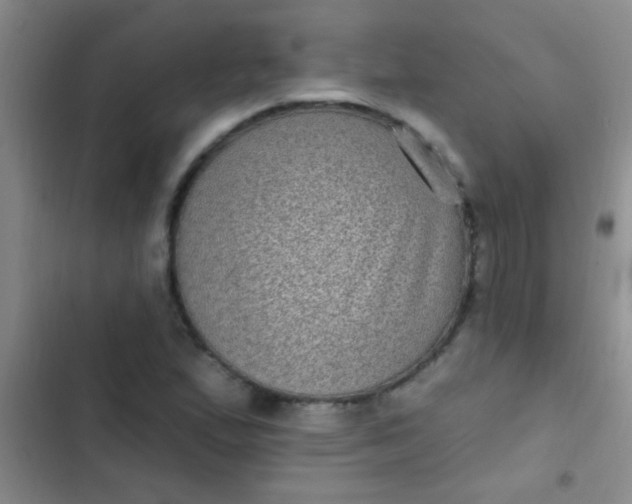 X0000102531167200808221858