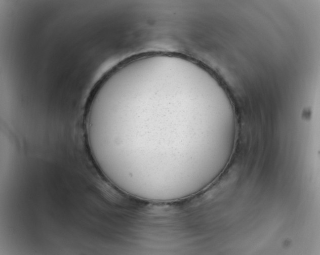 X0000102531168200808221858