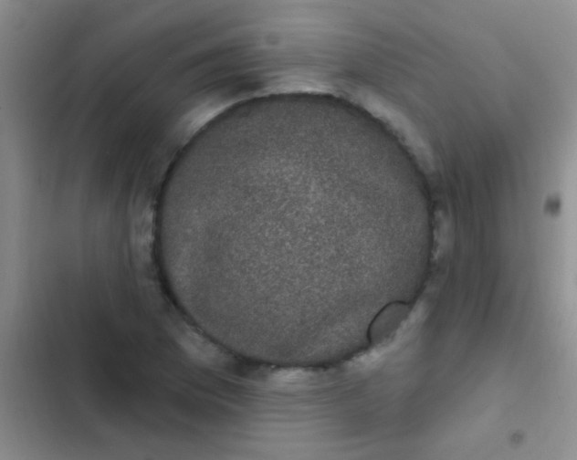 X0000102531169200808221858