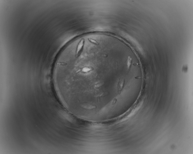 X0000102531170200808221858