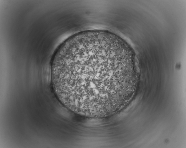 X0000102531171200808221858