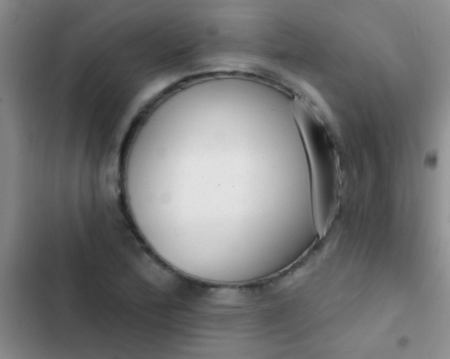 X0000102531172200808221858