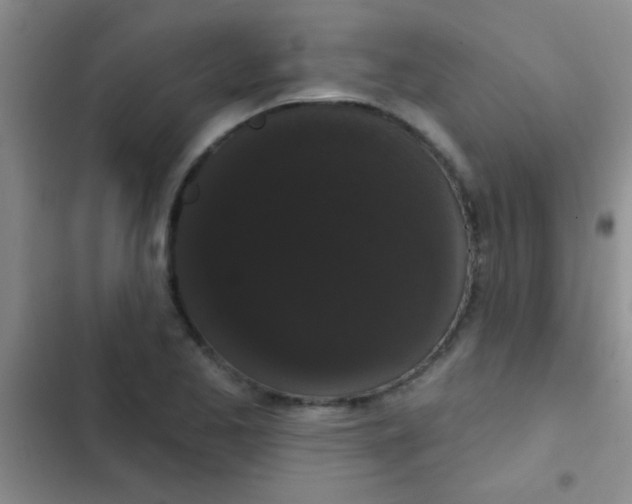 X0000102531173200808221858