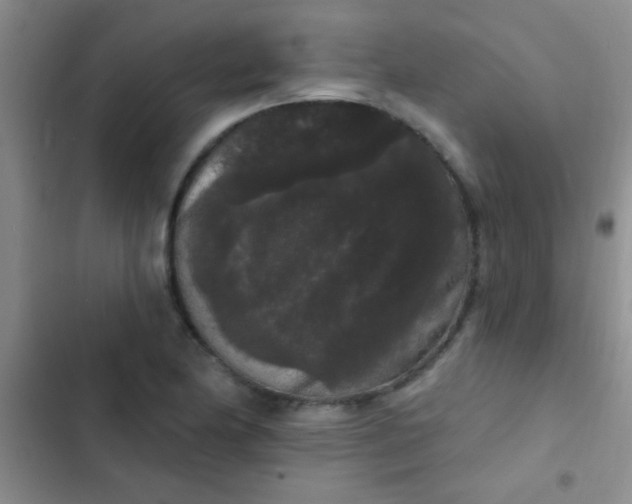 X0000102531174200808221858